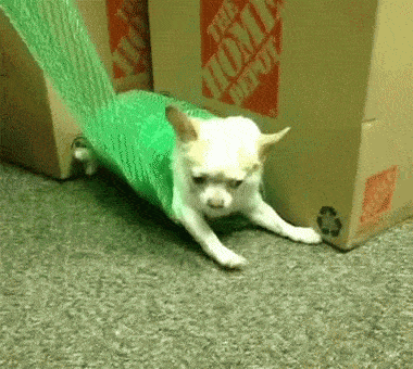 wrap gif