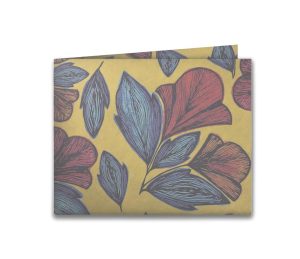 nova carteira classicacnh rogn4o6jpgfrente