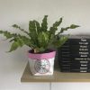 cachepogrande xt95arojpgvaso