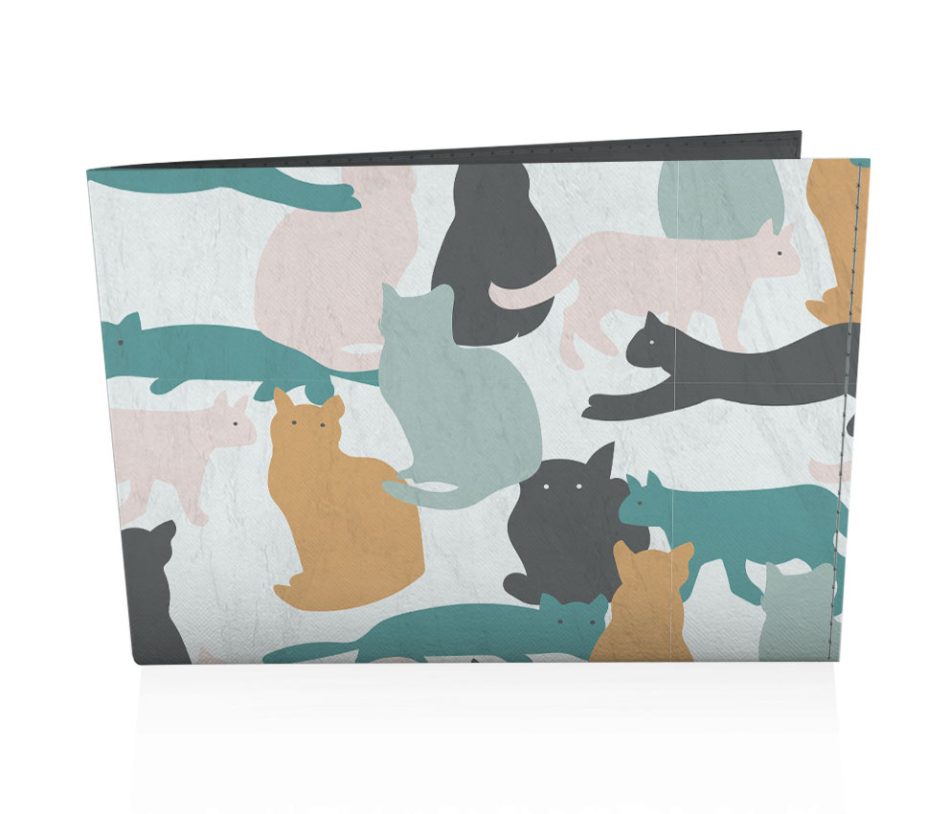 dobra old chuva de gatos 1