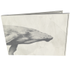 dobra-old-is-cool-i-wish-i-was-a-whale-1.png dobra old is cool i wish i was a whale 1