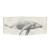 dobra-old-is-cool-i-wish-i-was-a-whale-3.png dobra old is cool i wish i was a whale 3