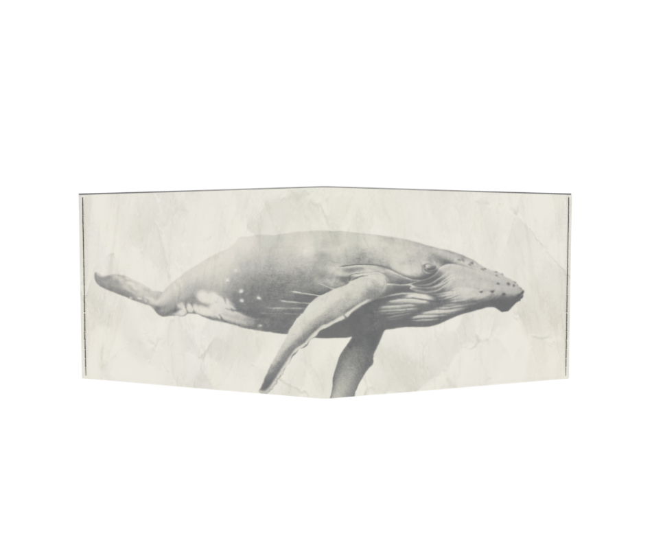 dobra-old-is-cool-i-wish-i-was-a-whale-3.png dobra old is cool i wish i was a whale 3