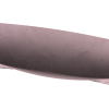 homeubuntusitesestampasquerodobracombrreleases2020-10-06-09-52mediadobra-old-pink-cat-power-3.png homeubuntusitesestampasquerodobracombrreleases2020 10 06 09 52mediadobra old pink cat power 3