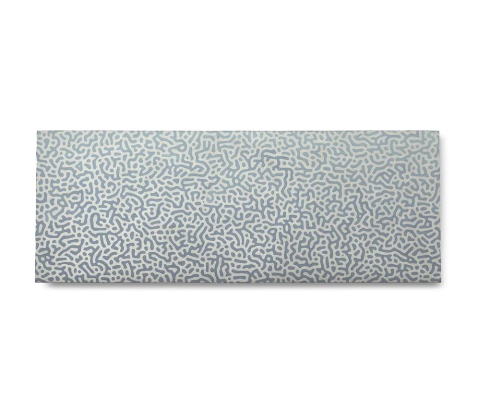 nova carteira classicacnhjpgfora 14 1