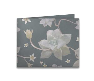 nova-echeveria-frente