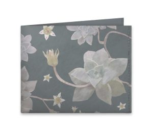 old-echeveria-frente