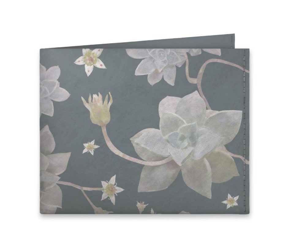 old-echeveria-frente
