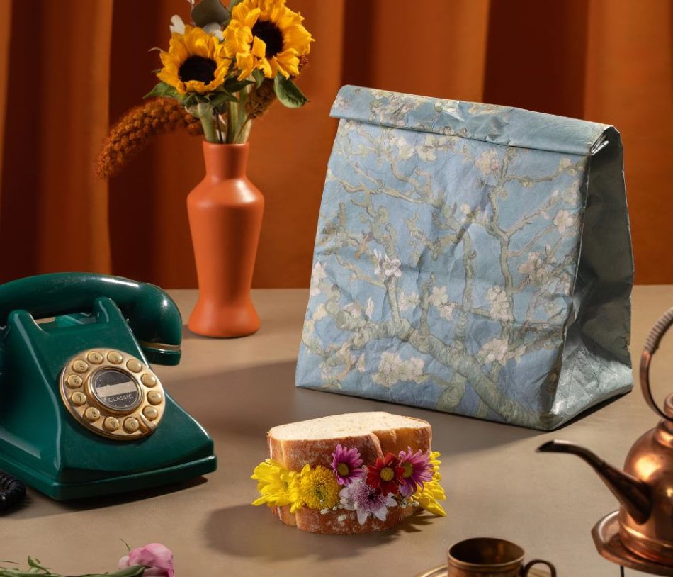 foto real lancheira amendoeira em flor sem alca