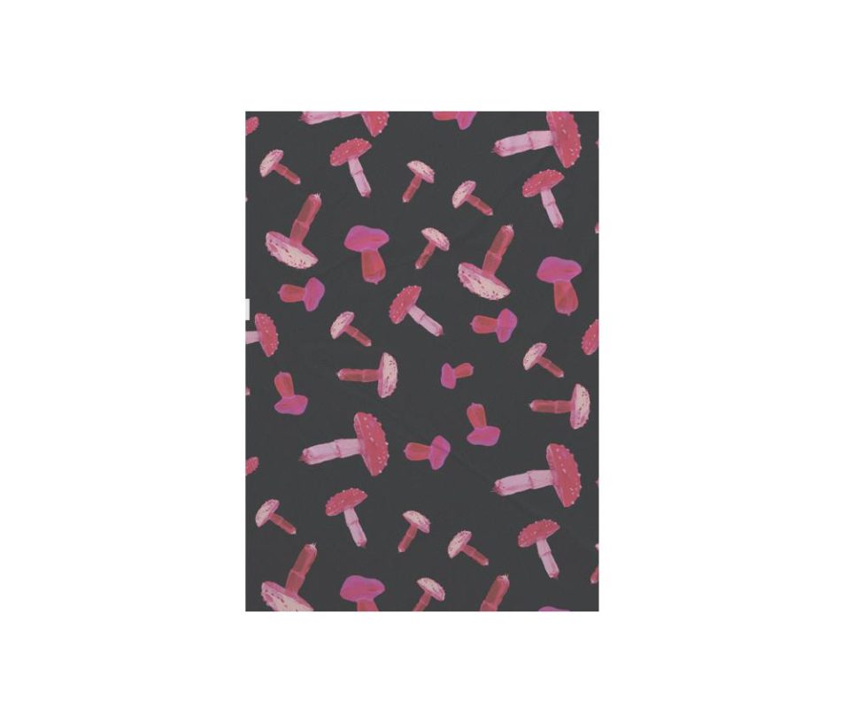 lambe-sueka-cogus-lambe-branco