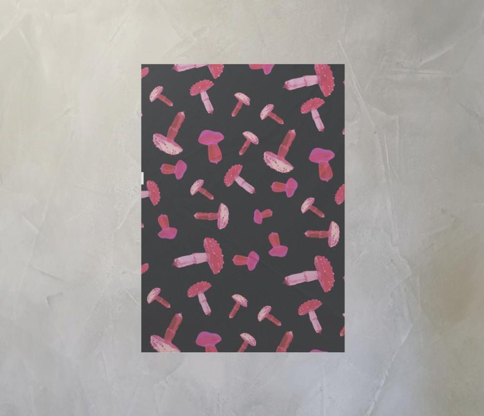 lambe-sueka-cogus-lambe-parede