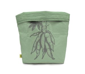 cachepo-raizes-costas