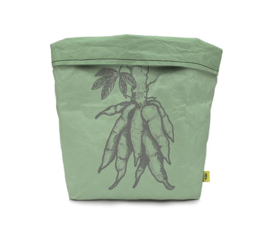 cachepo-raizes-frente