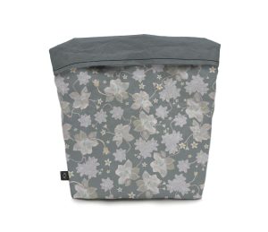 cachepo-echeveria-costas