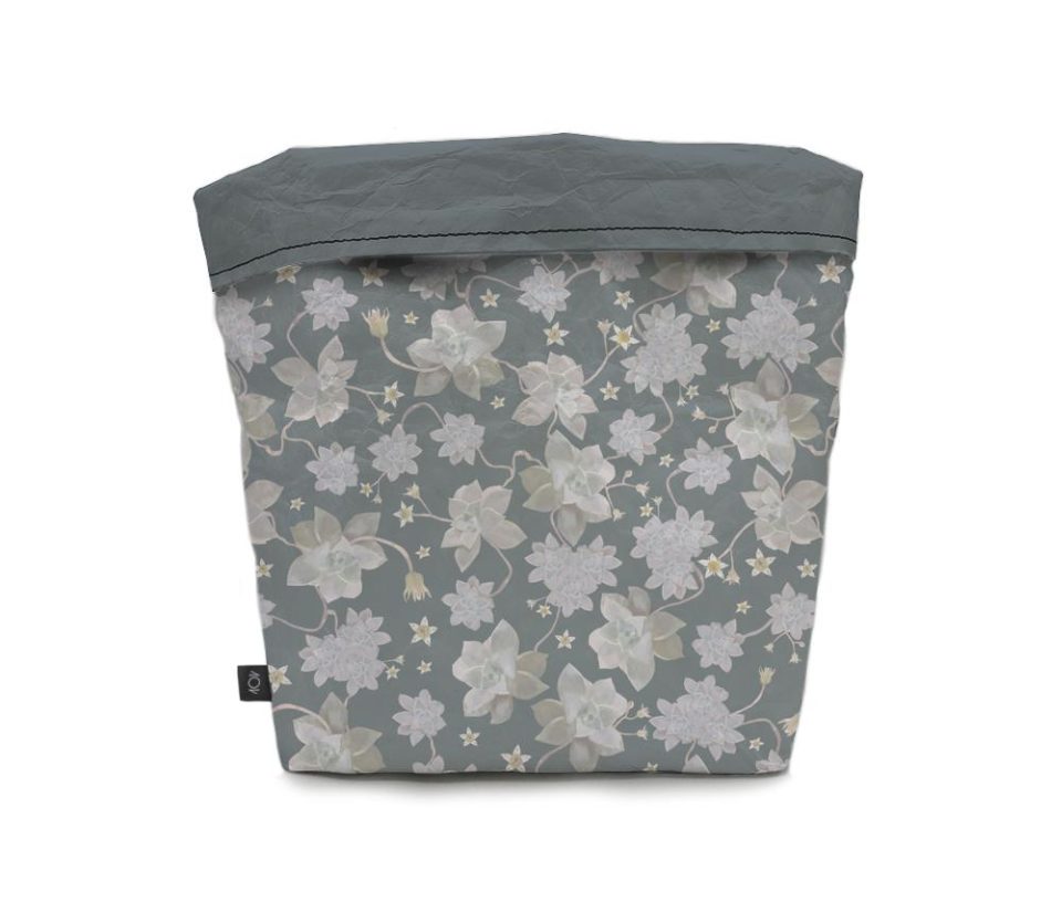 cachepo-echeveria-costas