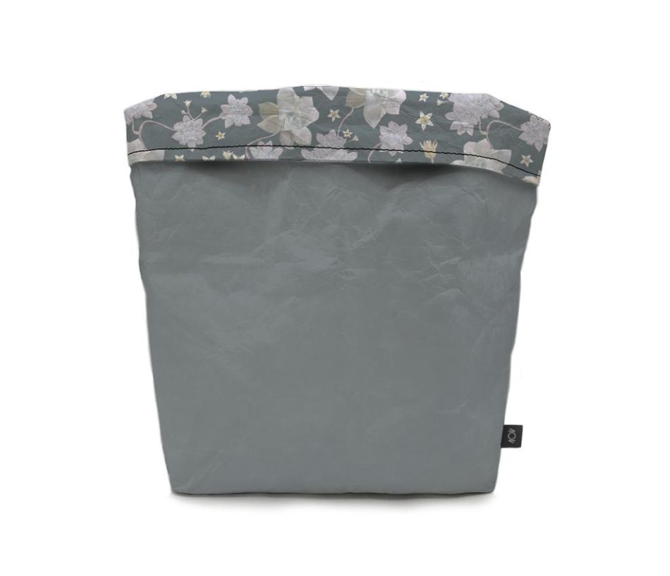 cachepo-echeveria-verso