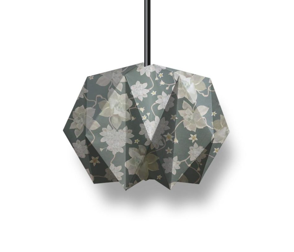 luminaria-echeveria-luminaria-branco