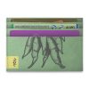 cartao-raizes-cartoes cartao-raizes-cartoes