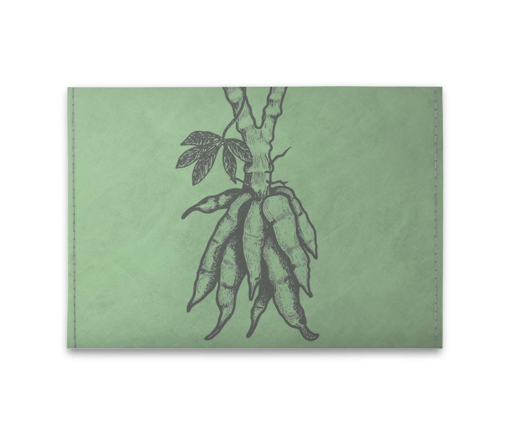 cartao-raizes-frente