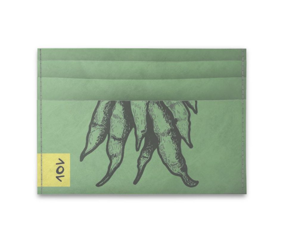 cartao-raizes-verso cartao-raizes-verso