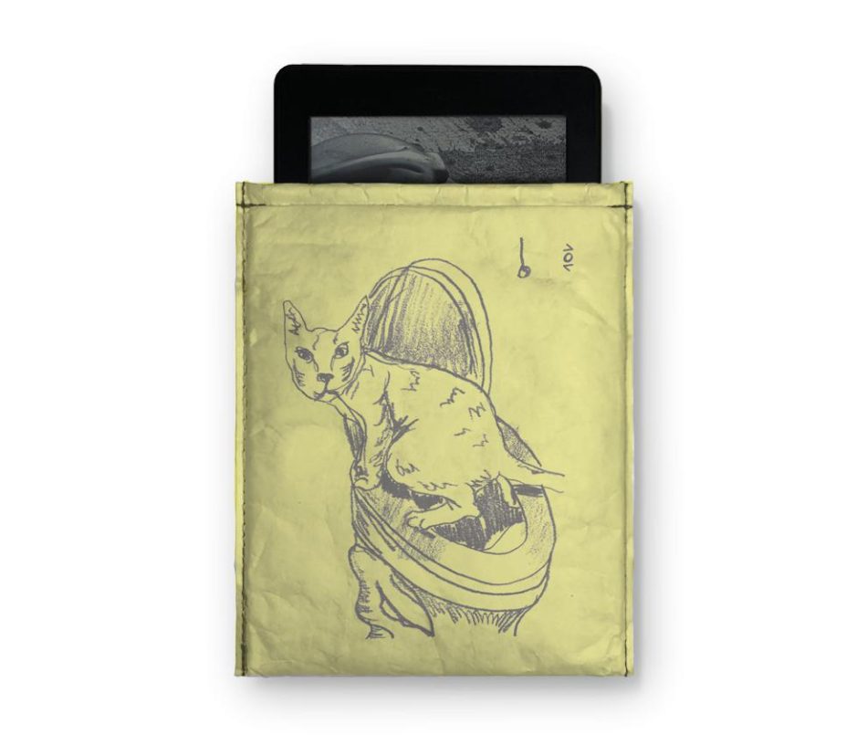 capaKindle-pego-em-flagrante-kindle-frente