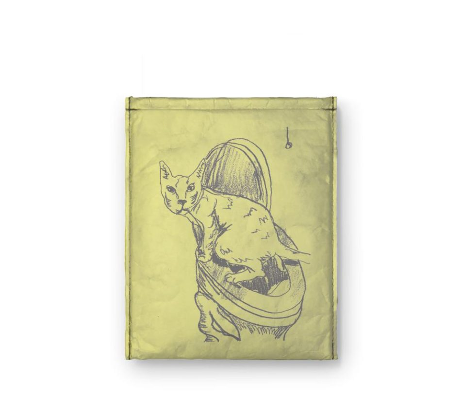 capaKindle-pego-em-flagrante-kindle-verso