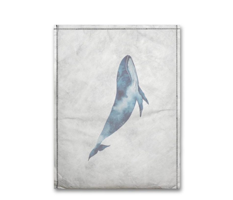 capaNoteSleeve-baleia-de-aquarela-estela-miazzi-notebook-verso capaNoteSleeve-baleia-de-aquarela-estela-miazzi-notebook-verso