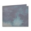 old-aquarela-estela-miazzi-frente old-aquarela-estela-miazzi-frente