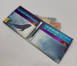foto carteira old is cool baleia com fundo aquarela estela miazzi 2