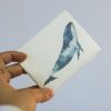 foto nova carteira classica baleia de aquarela estela miazzi 1