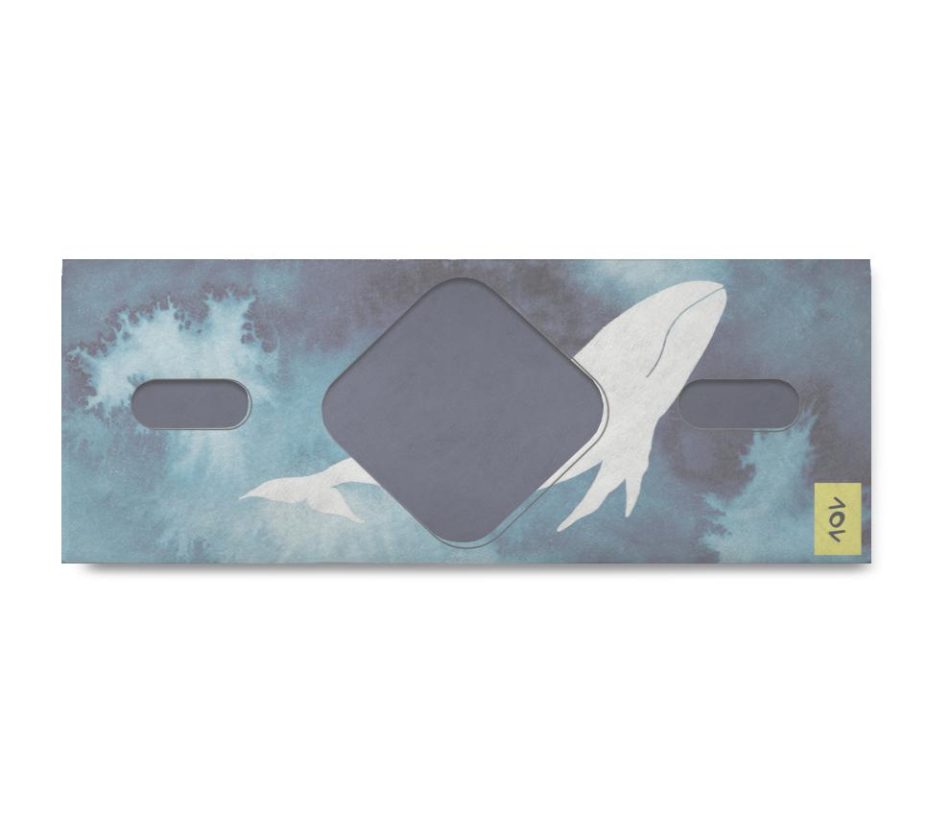 nova-baleia-com-fundo-aquarela-estela-miazzi-dentro