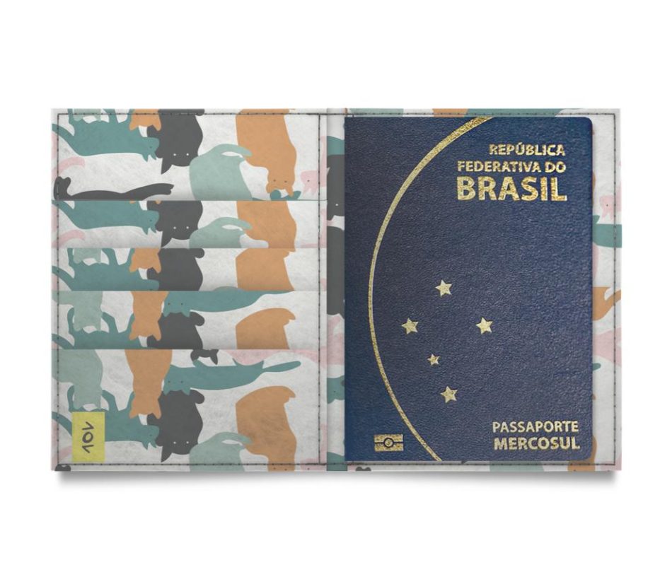 passaporte-temp-capa