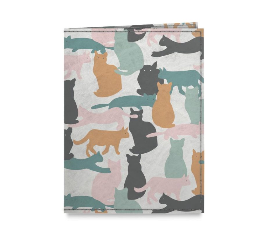 passaporte-temp-frente