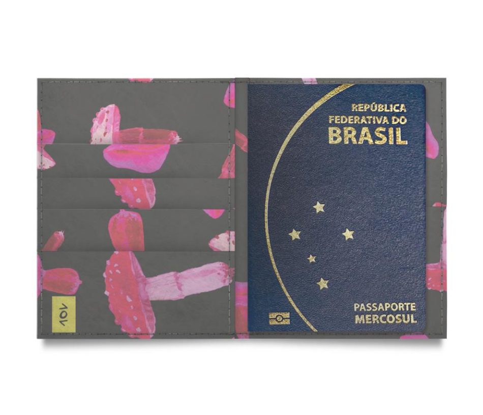 passaporte-temp-capa passaporte-temp-capa