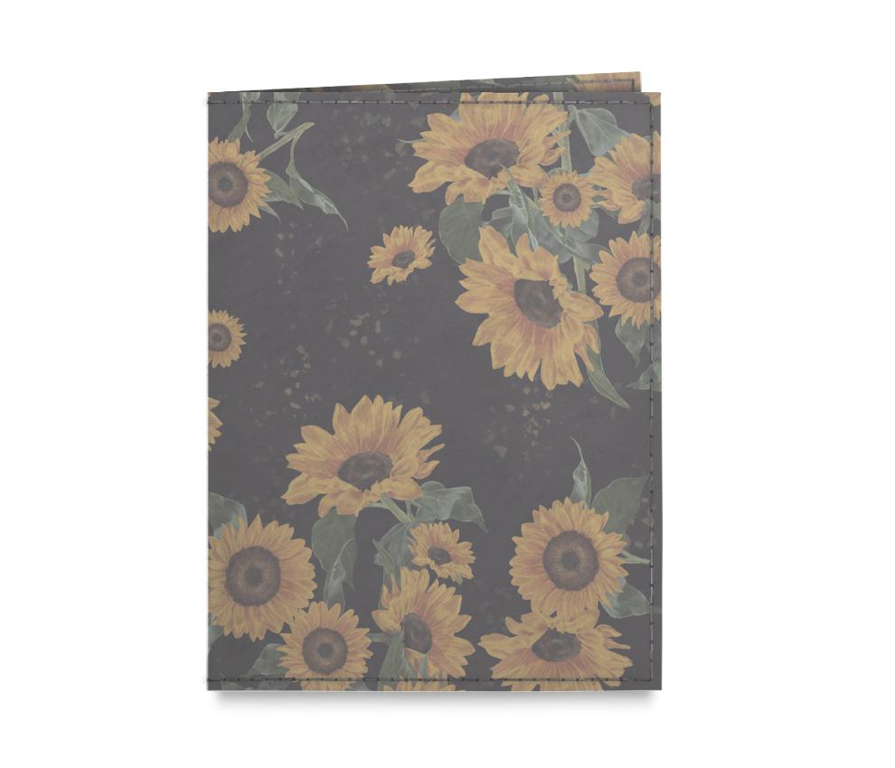 passaporte-temp-frente