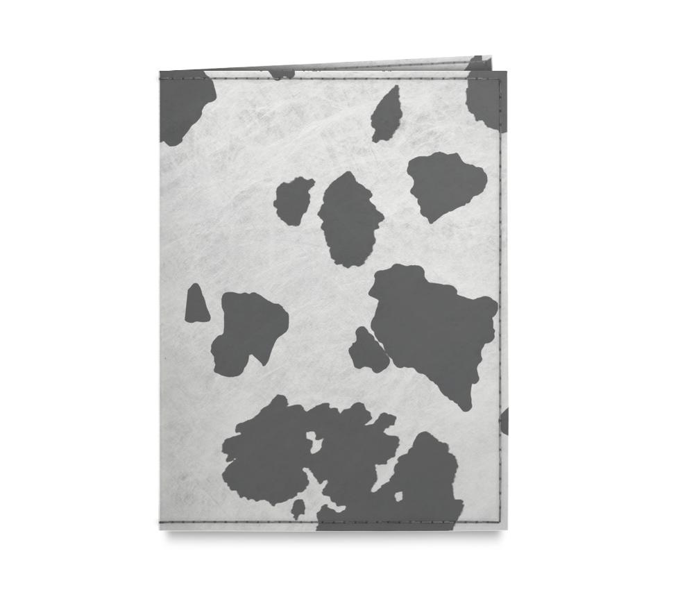 passaporte-temp-frente