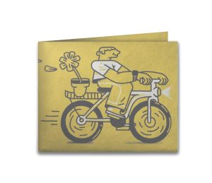 nova-vento-na-cara-frente