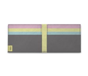 old-orgulho-pansexual-dentro